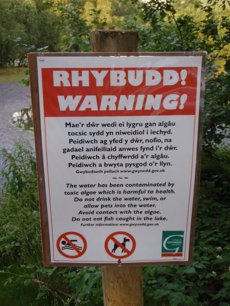 Warning sign of toxic algae pollution