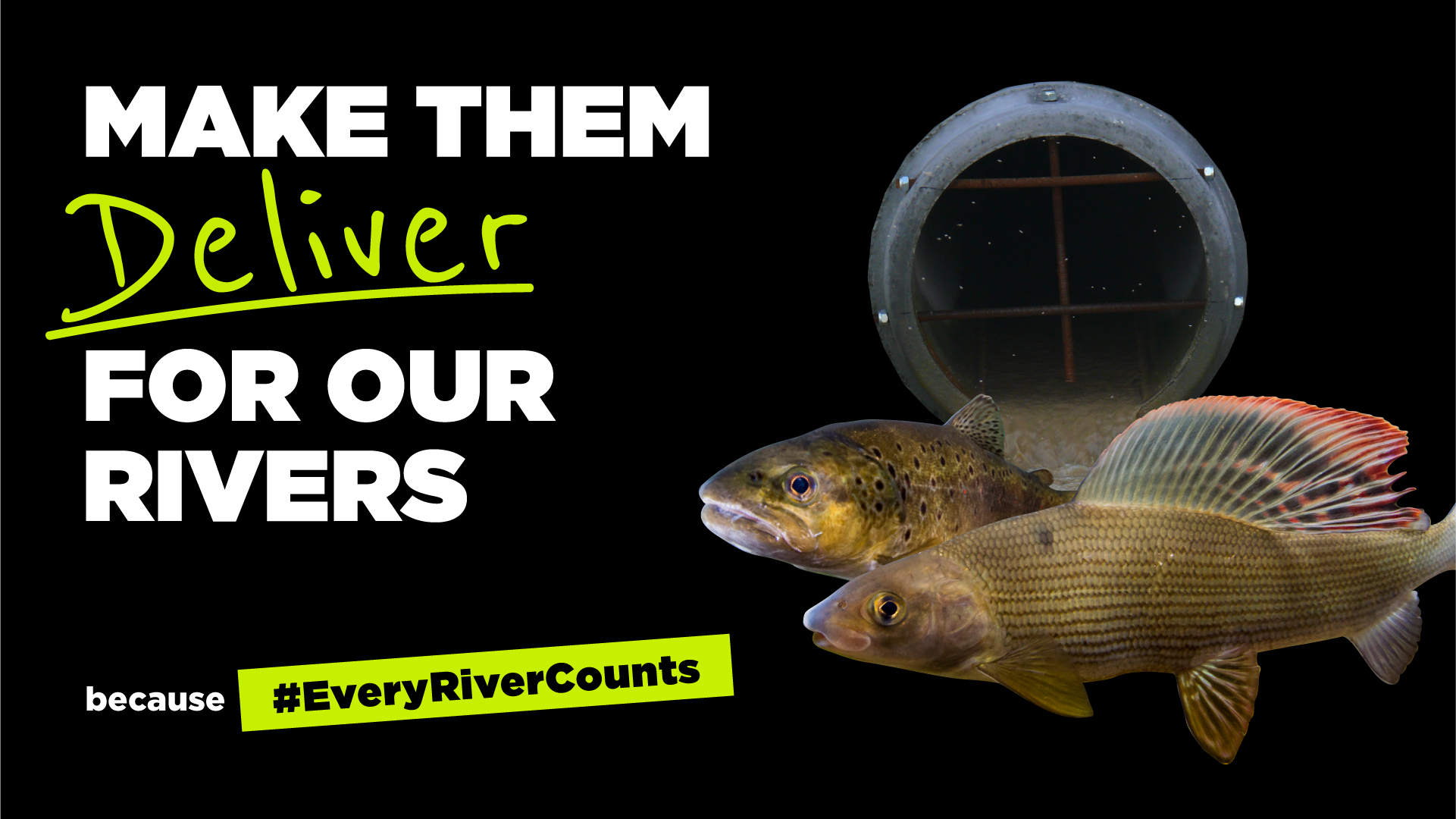 Every River Counts