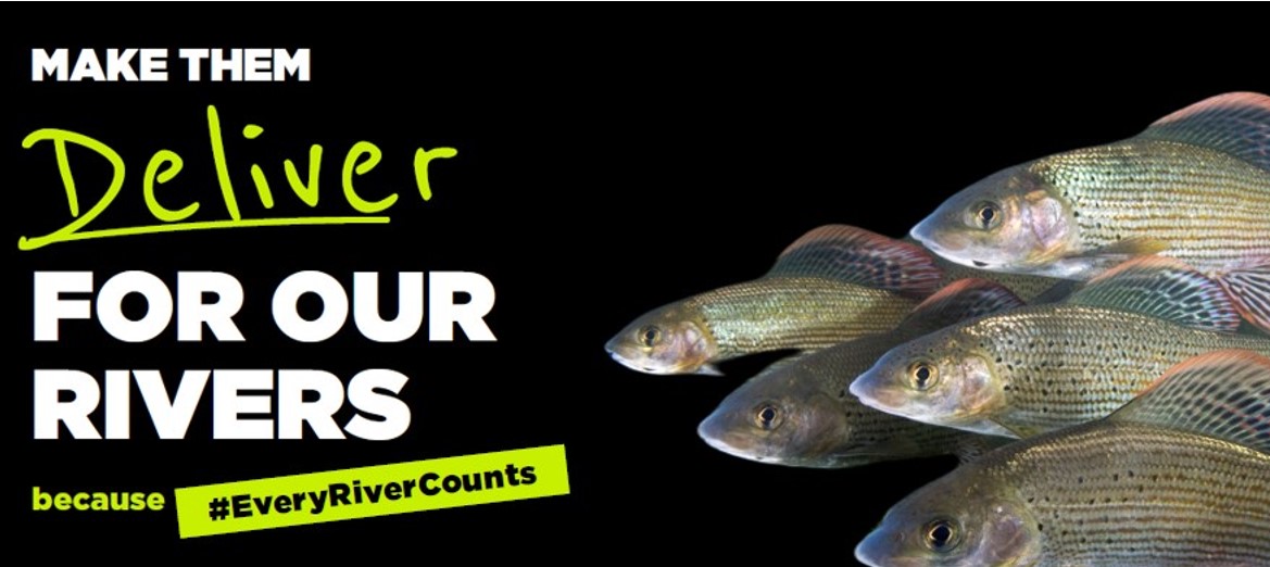 Grayling Society Support Every River Counts Appeal